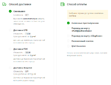 Заполнение (доставка и оплата)