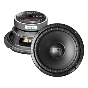 FSD audio Master WF 6