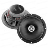 Focal Auditor RCX-165