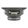 СЧ динамики AMP Mass FR52P50