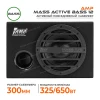 AMP Mass Active Bass 12