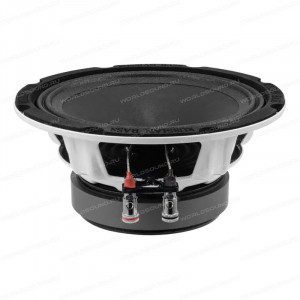 СЧ динамики Russian Bass M165X