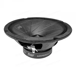 СЧ динамики AMP Mass FR65