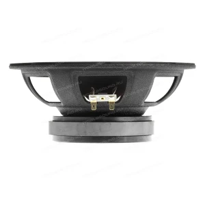 СЧ динамики AMP Mass FR80P120