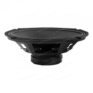 СЧ динамики AMP Mass FR69