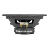 СЧ динамики AMP Mass FR65P60