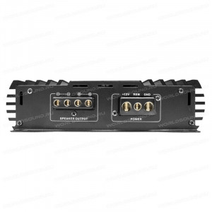 1-канальный усилитель FSD audio Master 1000.1