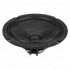 СЧ динамики FSD audio Master 200N