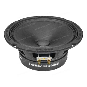 СЧ динамики AMP Mass FR65P100