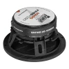 СЧ динамики AMP Mass FR65P150