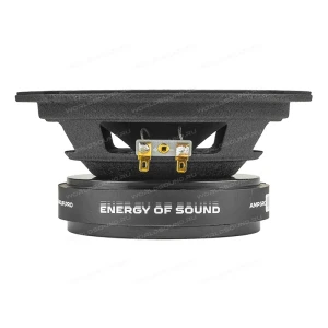 СЧ динамики AMP Mass FR65P120