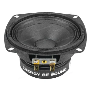 СЧ динамики AMP Mass FR40P40