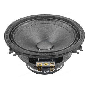 СЧ динамики AMP Mass FR52P50