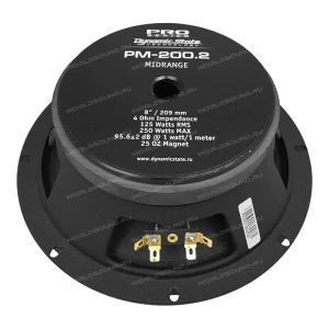 СЧ динамики Dynamic State Pro PM-200.1