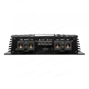 2-канальный усилитель FSD audio Master D2.1500