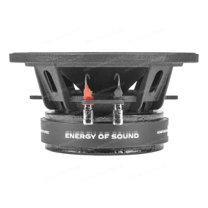 СЧ динамики AMP Mass FR65P150