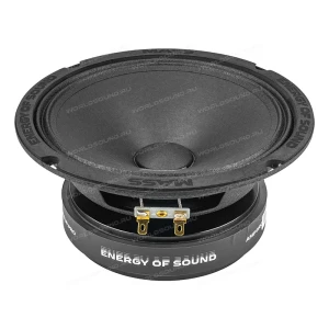 СЧ динамики AMP Mass FR65P120