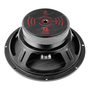 СЧ динамики Урал ТТ 250 Гром