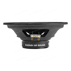 СЧ динамики AMP Mass FR80P70