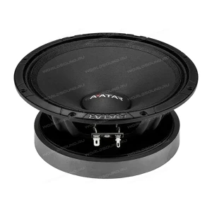 СЧ динамики Avatar Doomsday 67